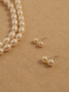 Freshwater Pearl Earrings